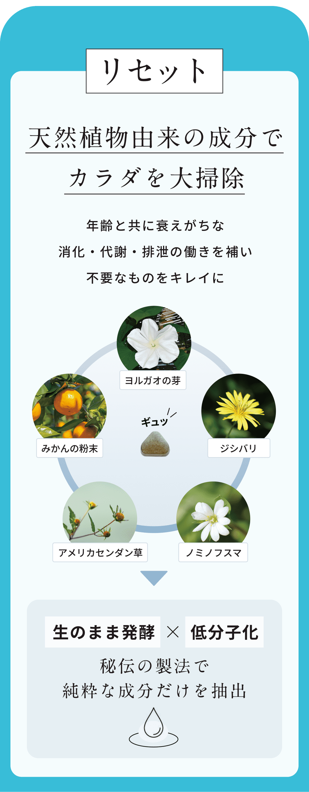 リセット。天然植物由来の成分でカラダを大掃除。年齢と共に衰えがちな消化・代謝・排泄の働きを補い不要なものをキレイに