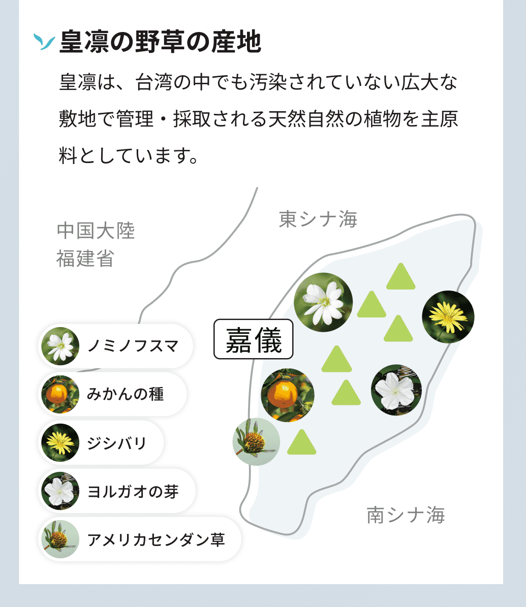 皇凛の野草の産地。皇凛は、台湾の中でも汚染されていない広大な敷地で管理・採取される天然自然の植物を主原料としています。