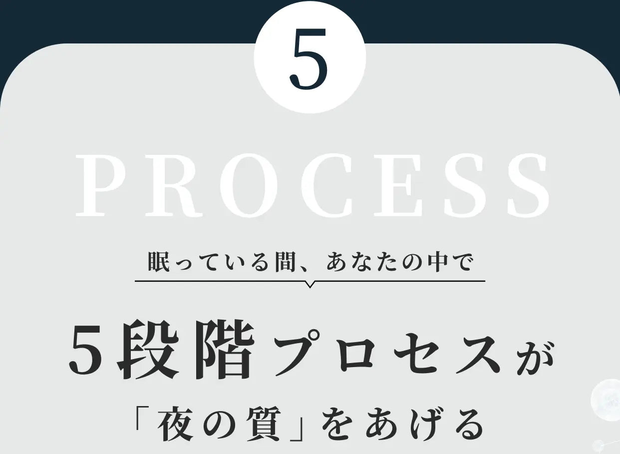 PROCESS 5 眠っている間、あなたの中で 5段階プロセスが「夜の質」をあげる