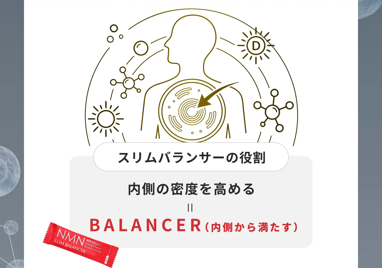 スリムバランサーの役割 内側の密度を高める＝BALANCER（内側から満たす）
