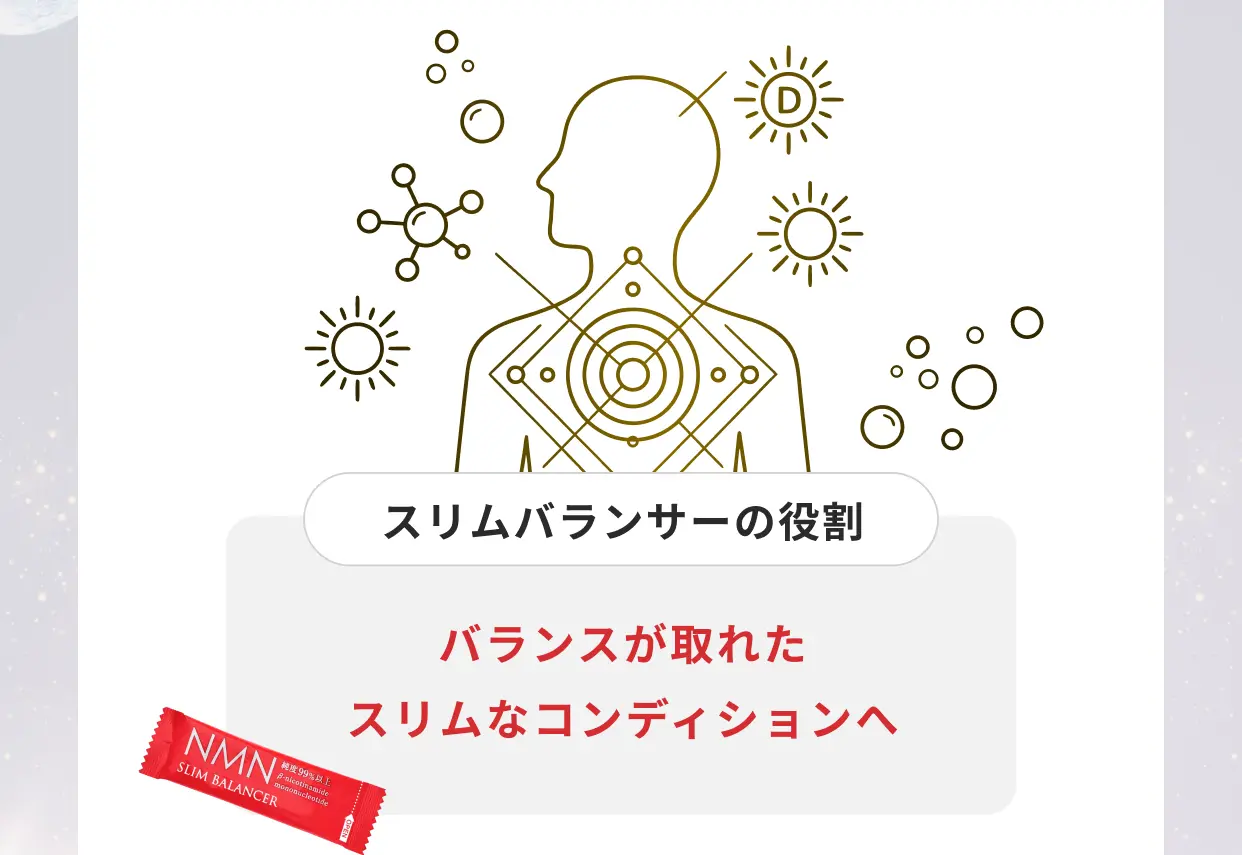 スリムバランサーの役割 バランスが取れたスリムなコンディションへ