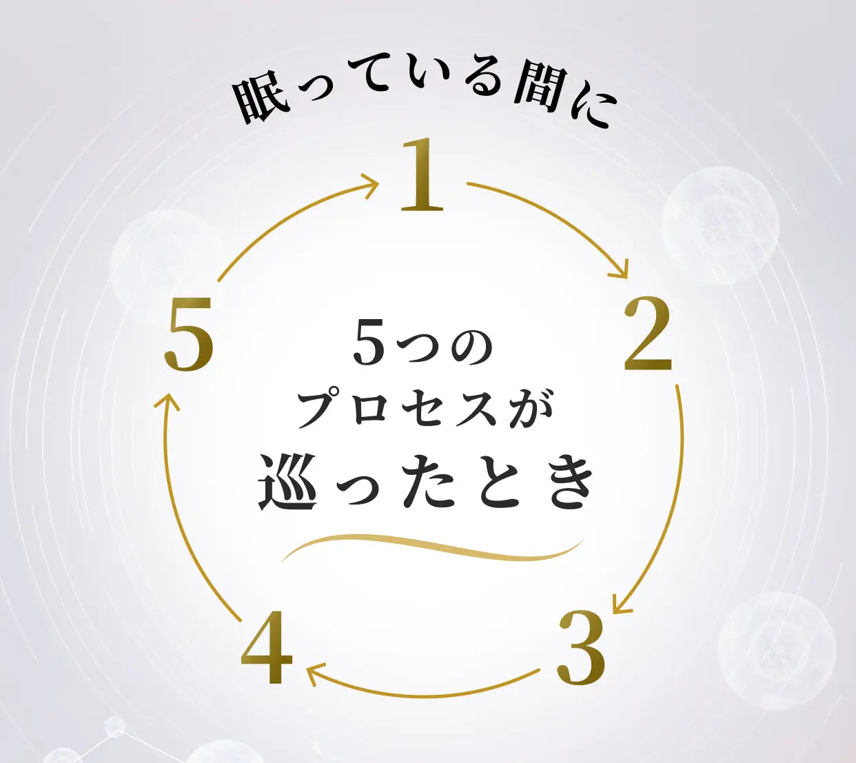 眠っている間に5つのプロセスが巡ったとき 1→2→3→4→5