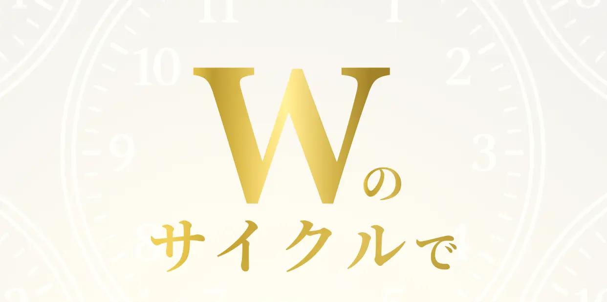 Wのサイクルで
