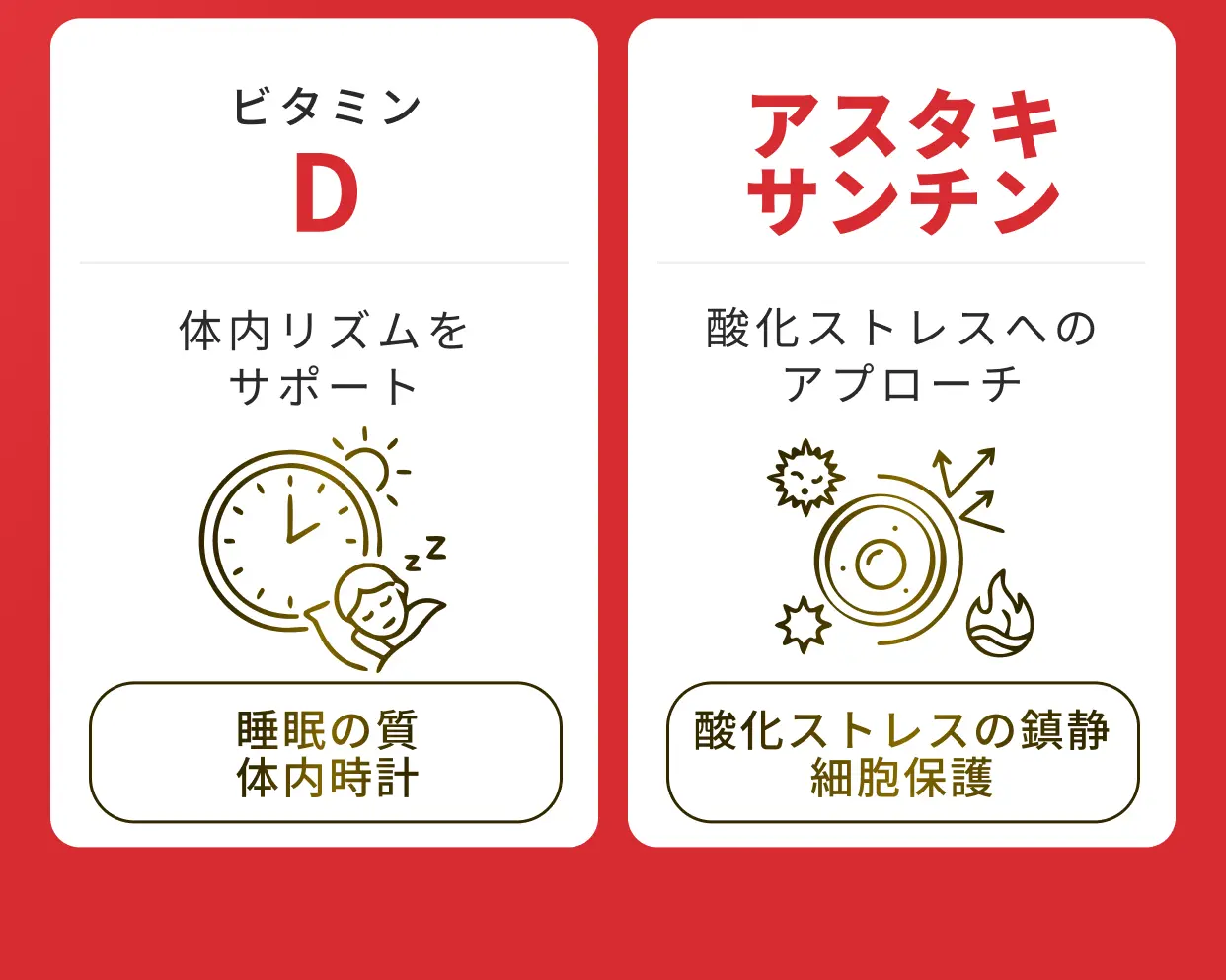 ビタミンD 体内リズムをサポート 睡眠の質・体内時計／アスタキサンチン 酸化ストレスへのアプローチ 酸化ストレスの鎮静・細胞保護